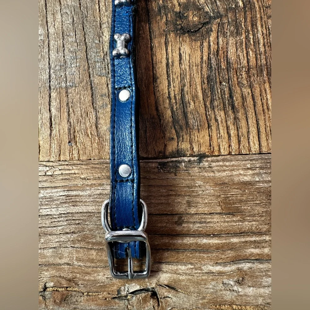 Blue Leather Dog Collar